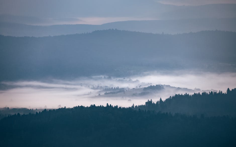 Bieszczady mountains landscape misty