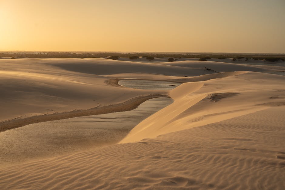 Brazilian dunes desert