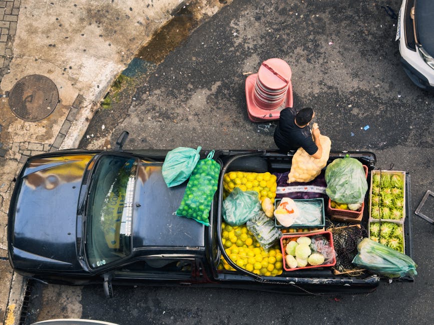 brazilian small business