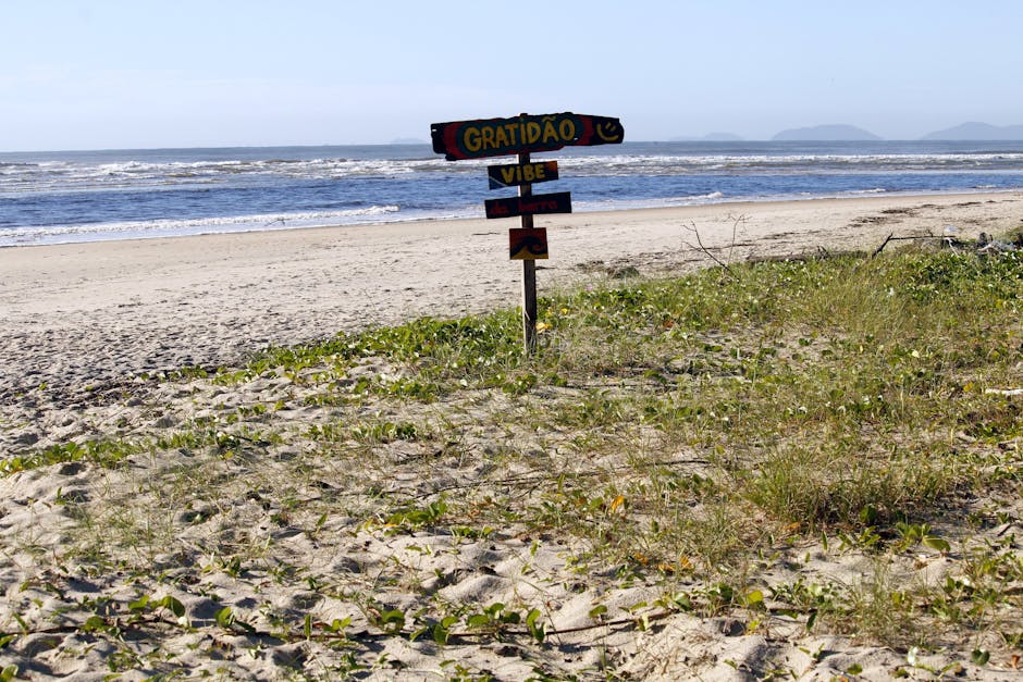 brazilian tropical beach
