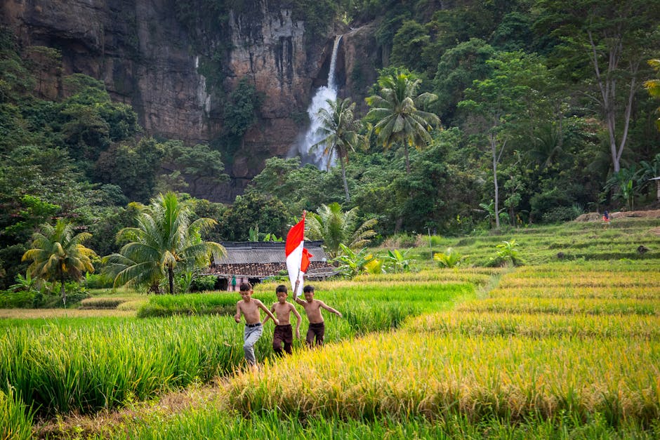 children looking waterfall