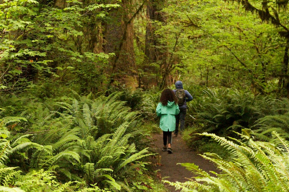 couple hiking in lush green forest