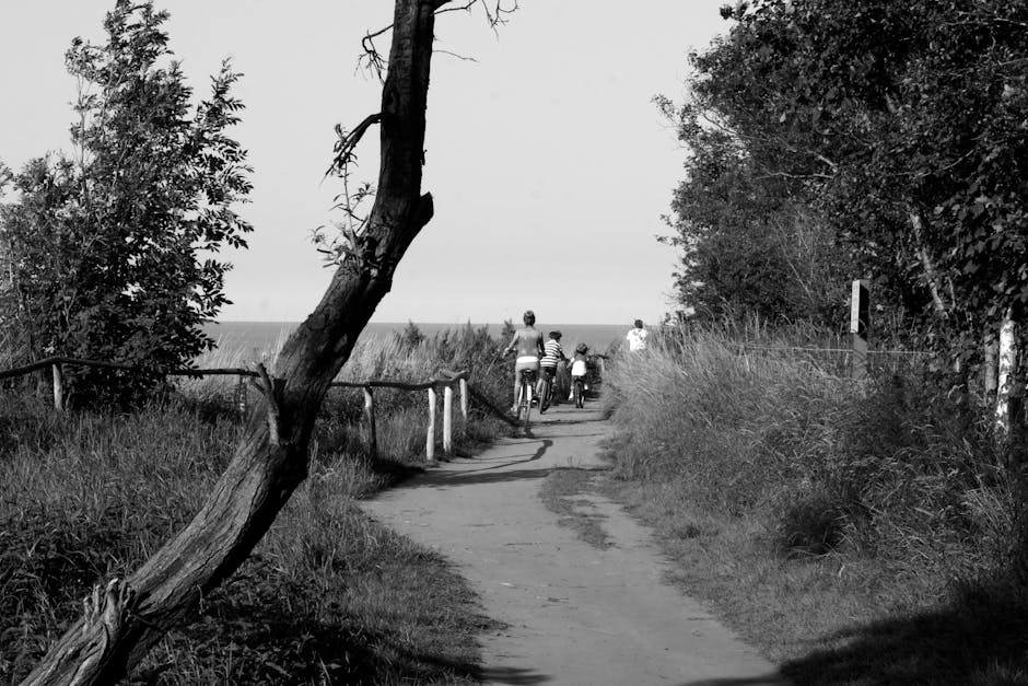 family cycling flat rural path