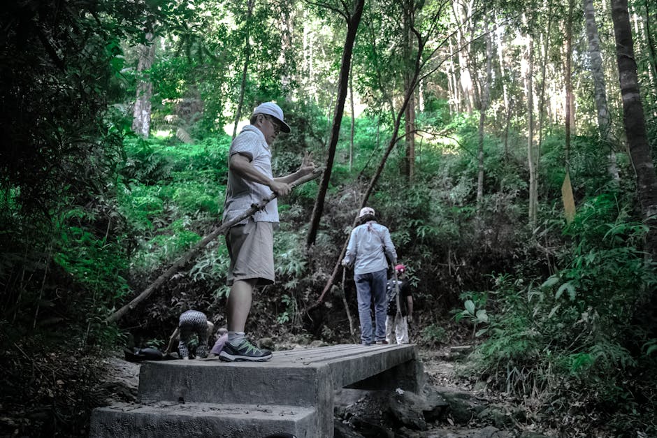 family hiking in forest