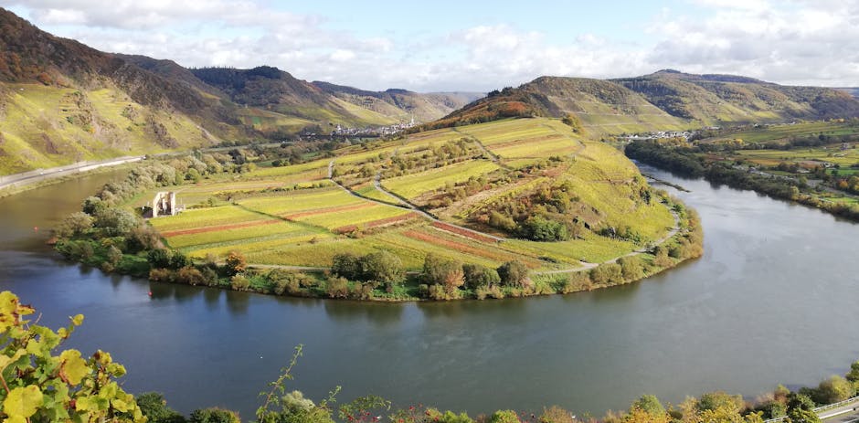 German wine region river