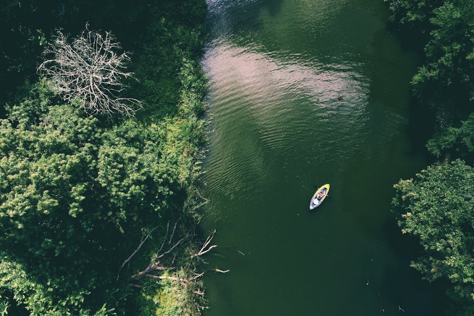 kayak on a calm river in forest