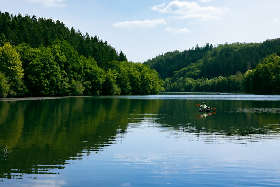 kayak on calm lake with forest