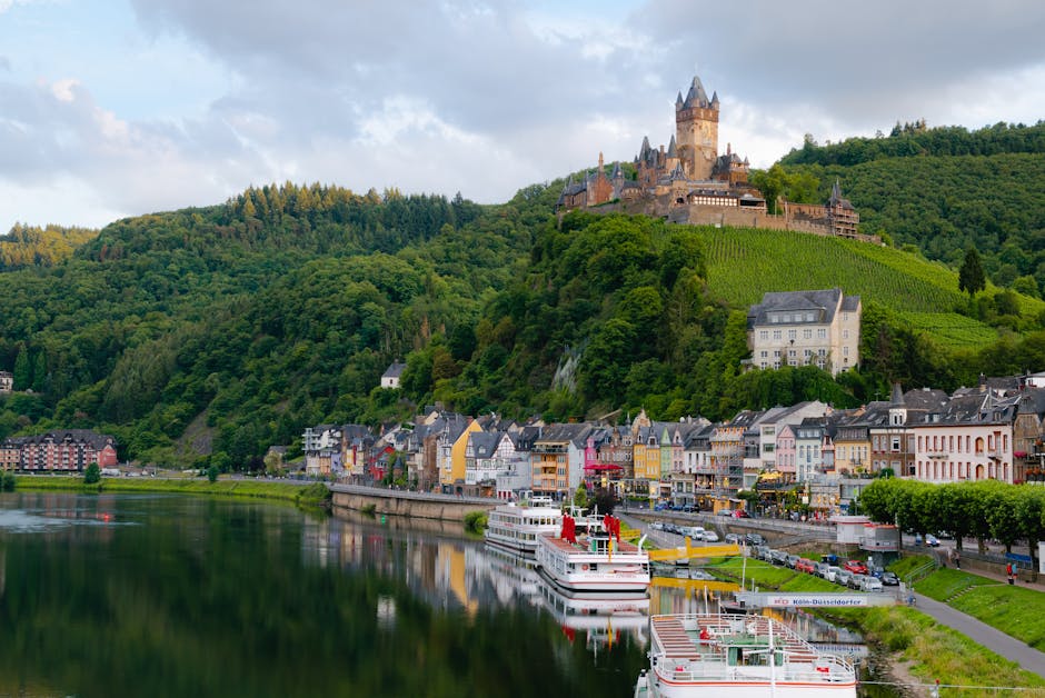 mosel river vineyard castle