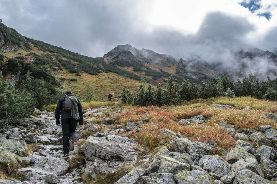 mountain hiking trail