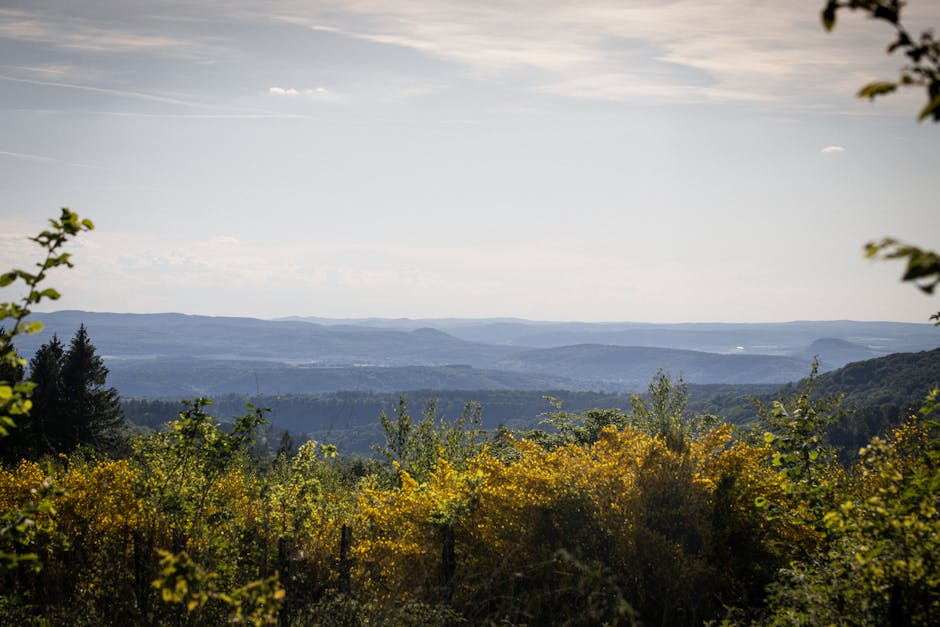 Panoramic view lush German hills