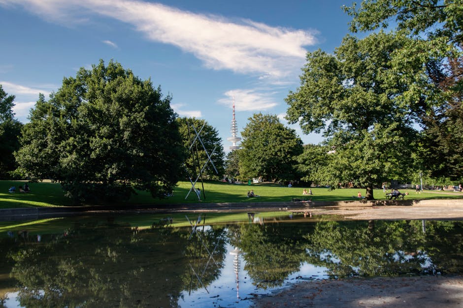 people enjoying summer in city park