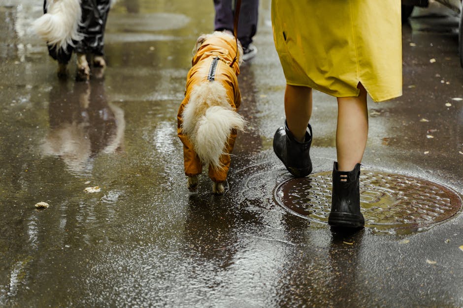 person walking in germany rain