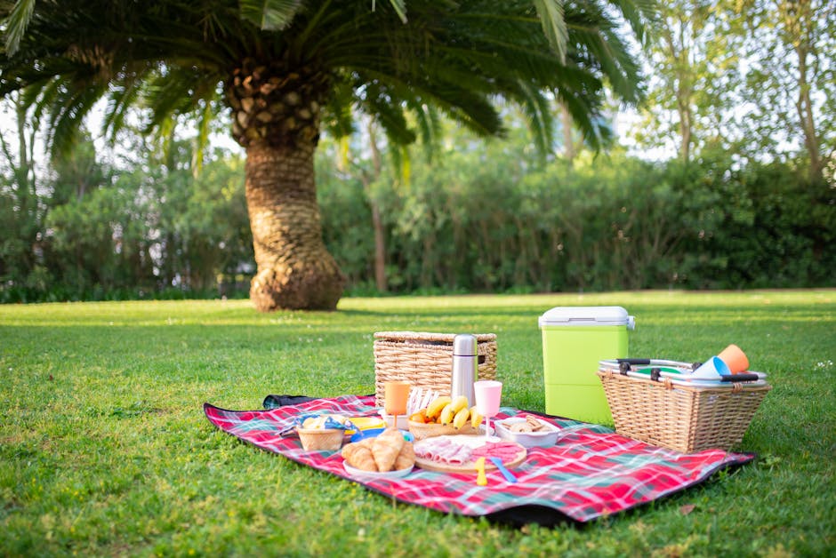 picnic food in park