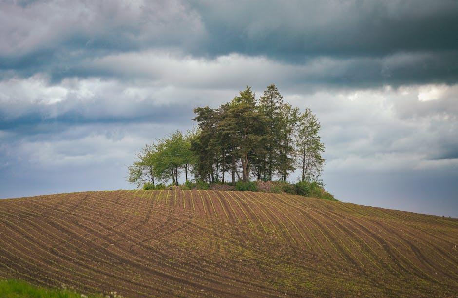 roztocze hills fields