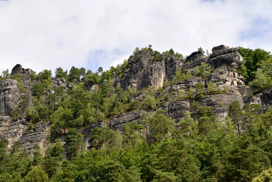 Saxon Switzerland landscape