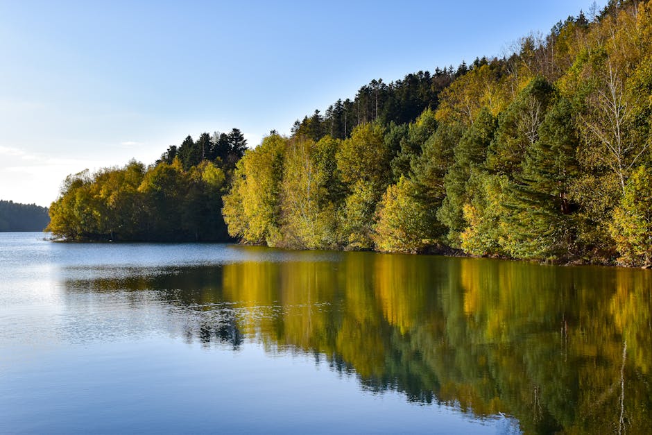 serene french lake forest