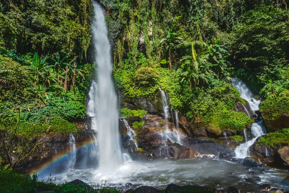 waterfall in jungle