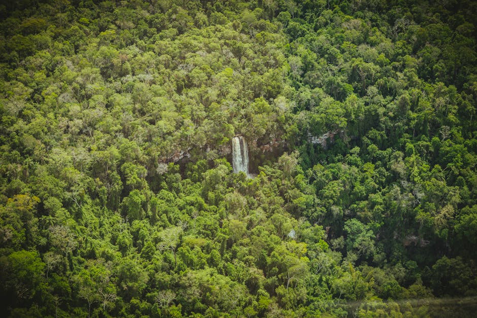 waterfall jungle brazil