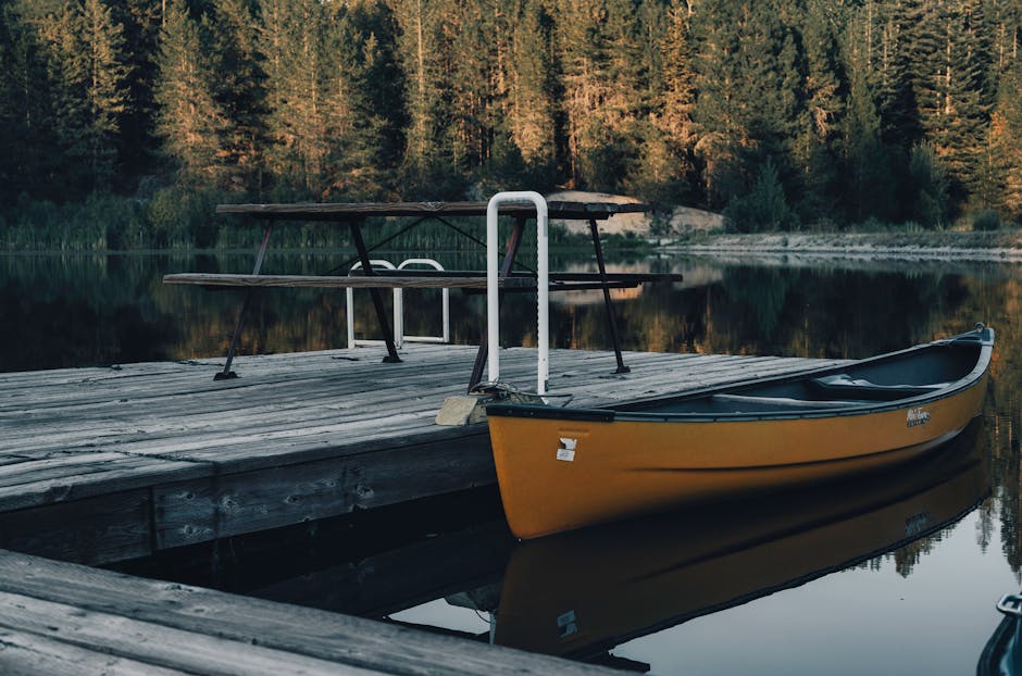 wooden canoe on calm lake in forest