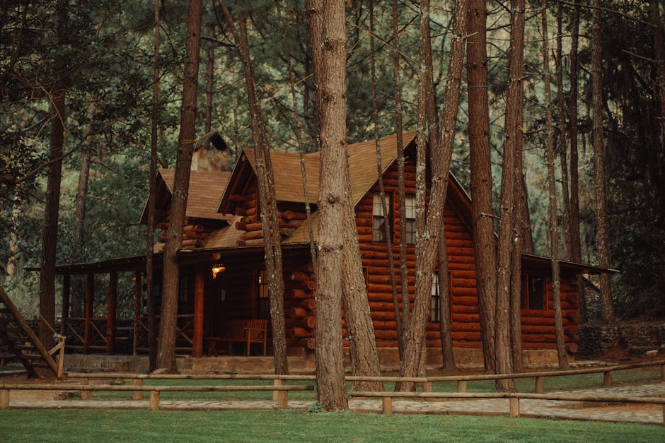 wooden cottage in forest