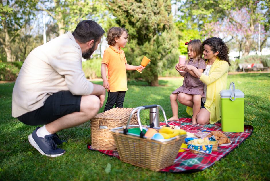 A family happily enjoying a picnic lunch in a sunny park with trees and greenery in the background, illustrating a cost-effective and enjoyable activity.