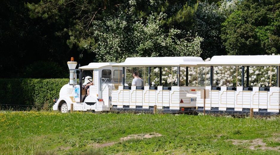 A family smiling and looking out the window of a train as it passes through a beautiful landscape, suggesting comfortable and affordable travel.