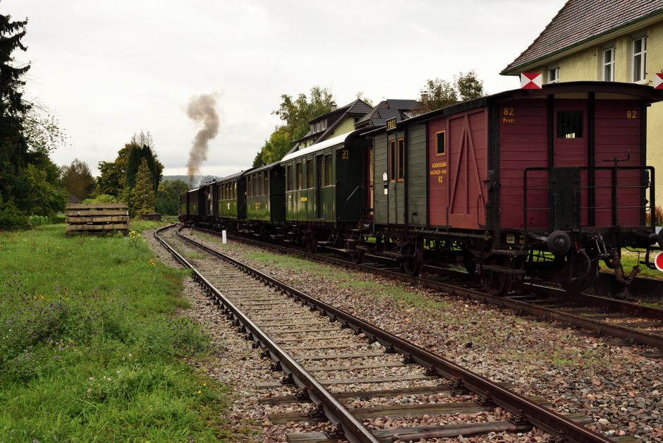 Train traveling through a dense, green Black Forest landscape in Germany, with tall pine trees and a small river.